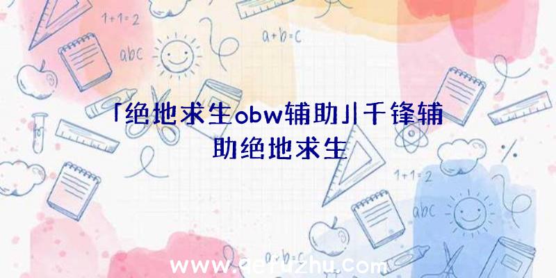 「绝地求生obw辅助」|千锋辅助绝地求生